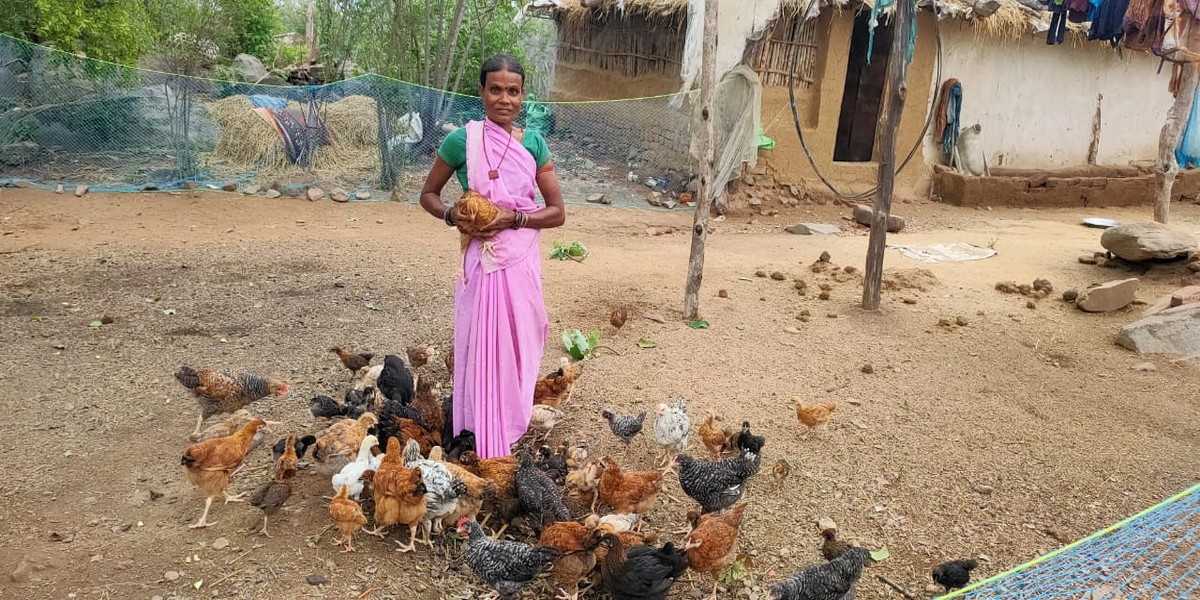 poultry
